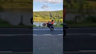 ktm 690 smc wheelie [upl. by Asikal]