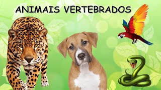 ANIMAIS VERTEBRADOSmamíferosaves peixes répteis e anfíbios [upl. by Mok427]