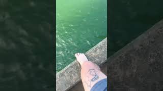 Jumping off the pier in Hanalei bay Kauai [upl. by Anirret611]