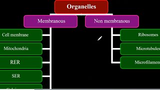 Cytology 1 Histology  علاج طبيعي [upl. by Irrep]