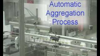 Serialization Process for the Pharmaceutical Packaging Line [upl. by Nek960]