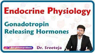 Gonadotropin Releasing Hormones  Endocrine physiology USMLE Step 1 [upl. by Tower257]