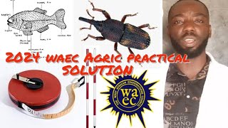 2024 Waec Agric practical Specimen question and Answers [upl. by Shandra]