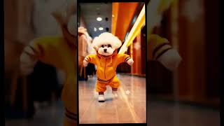 Dog Dance on quotDo nain sitarequot – Adorable and Fun [upl. by Cosimo]