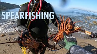 He Helped Clean Up The Ocean spearfishing saltlife pacificocean [upl. by Newob]