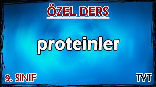 6 Proteinler  Özel Ders 9 Sınıf [upl. by Adnwahsar812]