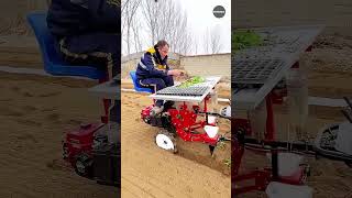 Farmers helpful planting machine modern agricultural [upl. by Jarrid]