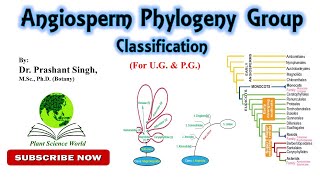 Angiosperm Phylogeny Group APG Classification For UG amp PG [upl. by Rains]