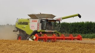 Claas Lexion 770 TerraTrac  Loonw De Bruyne  tarwe dorsen [upl. by Eilla]