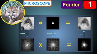 Fourier 1  Perspective and Equations [upl. by Airebma945]