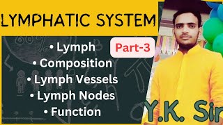 Lymphatic System in Hindi  Lymph  Composition  Lymph Vessels  Lymph Nodes  Function  YKSir [upl. by Ynavoj]