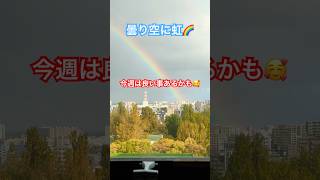 【入院8日目の朝】朝から虹をみて今週は良い事あるかも〜🌈🌈虹6 shorts 1028 [upl. by Federica]