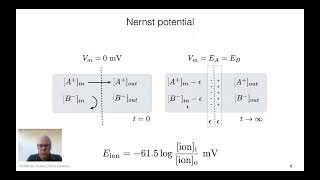 Basics I Electrophysiology of the Neuron Excitable Cells [upl. by Thomsen]