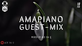 AMAPIANO GUESTMIX 8  DJ Stokie Madumane Mr JazziQ DJ Melzi amp Many More  Ace da Q [upl. by Leonardo]