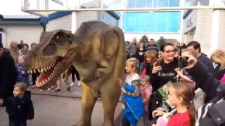 T Rex Dinosaur  Big Foot Events [upl. by Pagas]