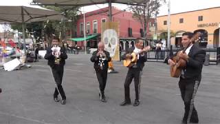 MARIACHI LOCO Plaza de Garibaldi 4K [upl. by Adriano415]