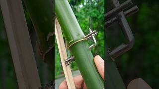 Bamboo creations with Simple Bamboo Idea Bamboo Diy Slingshots Bambooart [upl. by Hara]