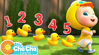 Cinco Patitos🦆  Aprender Números del 1 al 5  Bebé ChaCha Canciones Infantiles amp Videos para Niños [upl. by Ilsa]