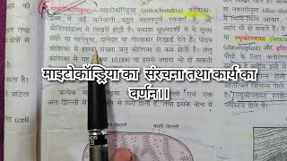 माइटोकॉन्ड्रिया की संरचना तथा कार्य का वर्णन [upl. by Tower]