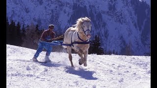 Skijoring  The Incredible Horse Skiing Sport [upl. by Gem647]