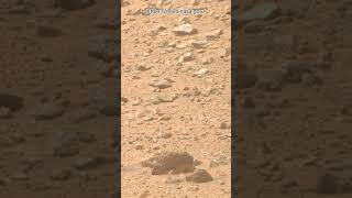 Perseverance Rover Sol 1330  Mars New 4k Video  Mars 4k Video  Mars In 4k  Mars shorts [upl. by Anaele]