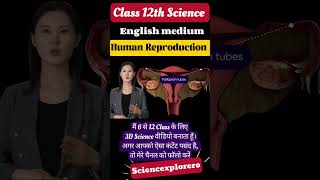 Human Reproduction  Class 12th  Biology ncert neet biology [upl. by Rafaelita]