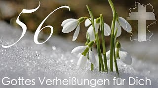 Gottes Verheißungen für Dich  Petrus 414  Videokalender 56365  Deutschland braucht JESUS [upl. by Bennion960]