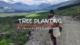 Tree Planting in Western Canada Rookie Season [upl. by Keiko332]