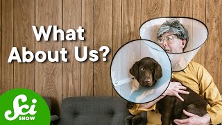 Why Your Dog Has An AntiTick Pill And You Don’t [upl. by Yeleek]