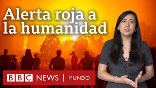 5 revelaciones del informe de la ONU sobre cambio climático y qué dice sobre América Latina [upl. by Katsuyama367]