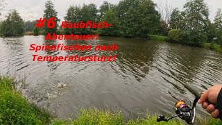 6 Raubfisch Abenteuer Spinnfischen nach Temperatursturz 🎣 [upl. by Haldi]