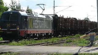 Hector Rail Timmertåg Norra Valbo 24Juli23 [upl. by Suirauqed853]