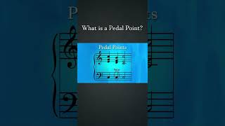 What is a Pedal Point  How Composers Use Series  The Soundtrack of History musictheory [upl. by Cassi808]