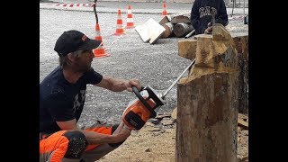 Sculpture à la tronçonneuse  ours à la fête du bois à Thoard 2018 [upl. by Nek]