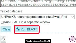 How to use BLAST tool in UniProt  Biological Sciences Department  Superior University [upl. by Abernon788]