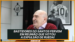 Bastidores do Santos fervem em reunião que votou a expulsão de Andres Rueda do conselho [upl. by Atinehc]