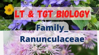 FamilyRanunculaceae LT grade biology TGT bio [upl. by Elockcin829]