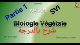 Biologies végétles s2 partie 1 thallophyte  cormophyte شرح بالدرجة [upl. by Joscelin378]