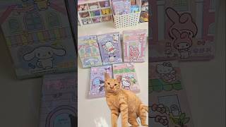 Sanrio QuietBook sanrio kuromi cinnamoroll hellokitty mymelody cute japan shorts fyp asmr [upl. by Ettener]