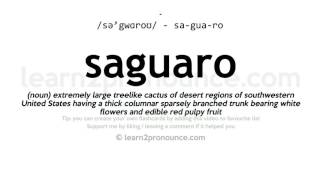 Saguaro pronunciation and definition [upl. by Omrellug]