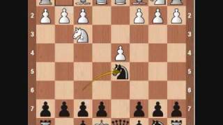 Chess Openings Scandinavian Defense [upl. by Brathwaite881]