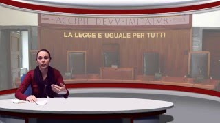 Il procedimento ed il processo penale [upl. by Juliano814]