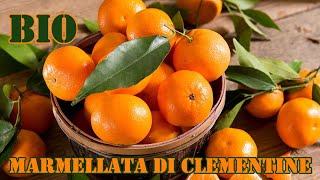 Marmellata di mandarini clementine BIO 🥞 Le ricette di DevaNatura [upl. by Bal]