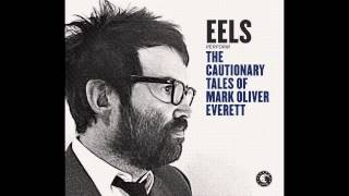 EELS  Parallels audio stream [upl. by Suryt]