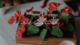 Making Anthurium flowers Plants 🌱 [upl. by Oiratnom]