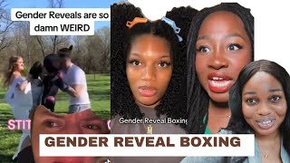 Gender Reveal Boxing Got People Talking [upl. by Aerdnak818]