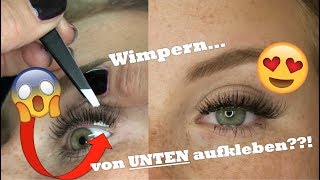 Wimpern von UNTEN kleben Der beste Trick wie es funktioniert [upl. by Benedix]