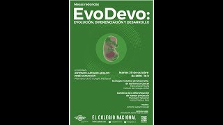 EVO  DEVO Evolución Diferenciación y desarrollo Mesas redondas [upl. by Delmer]