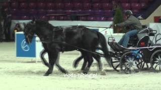 Bartłomiej Kwiatek  konkurs powożenia Cavaliada 25032012 [upl. by Ahtiekahs]