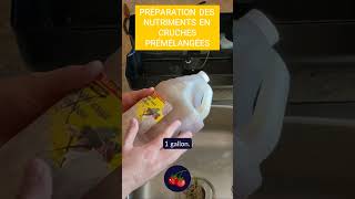 🥤 Préparation de solution hydroponique en cruche 🌱 [upl. by Ingunna]